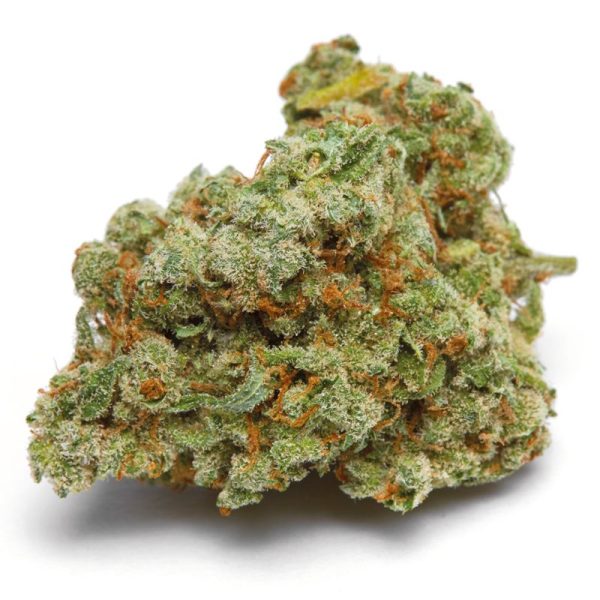 Tropical Banana SHBT – R180/g