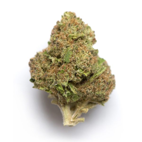 Diesel MNKY Pops – R65/g