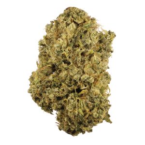 Durban P. – R20/g