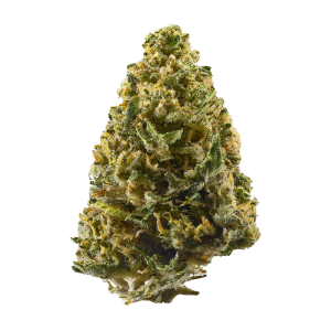 Northern Lights – R75/g
