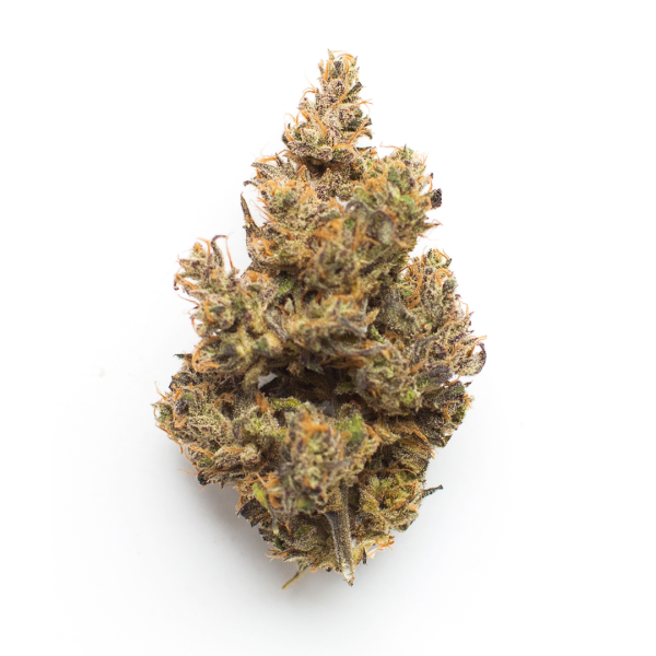 Purple Gas – R65/g