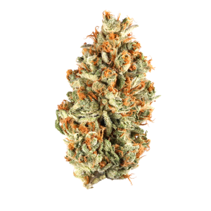Caribbean Breeze – R180/g