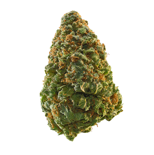 Gelato Bliss – R65/g