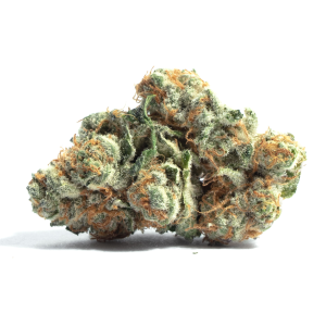 Tropic Thunder – R20/g