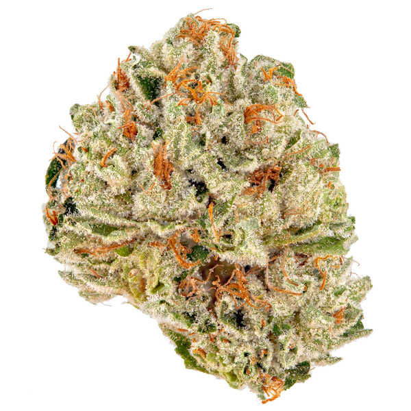 Triple Diesel – R55/g