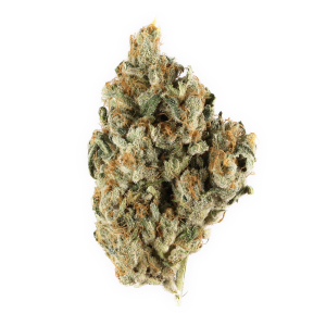 Black Opium – R90/g