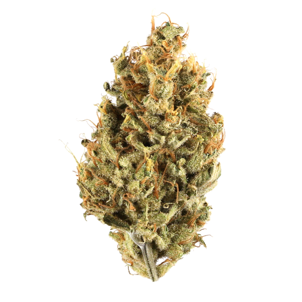 Jungle Cake – R120/g