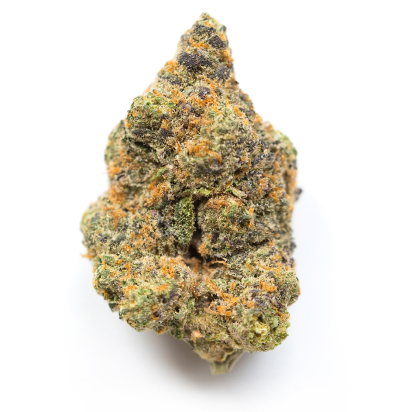 Bruce Banner – R65/g