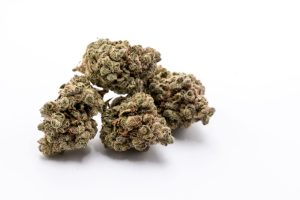 Exo Cheese – R30/g