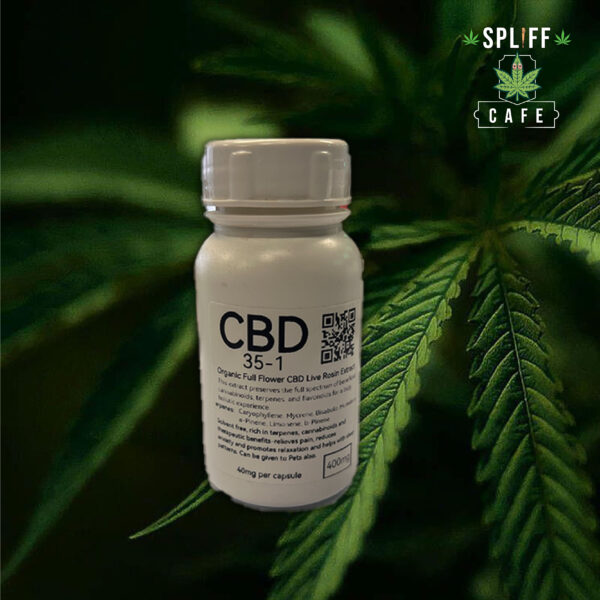 Raw Organic Live Rosin CBD 35:1 Capsules – 400mg